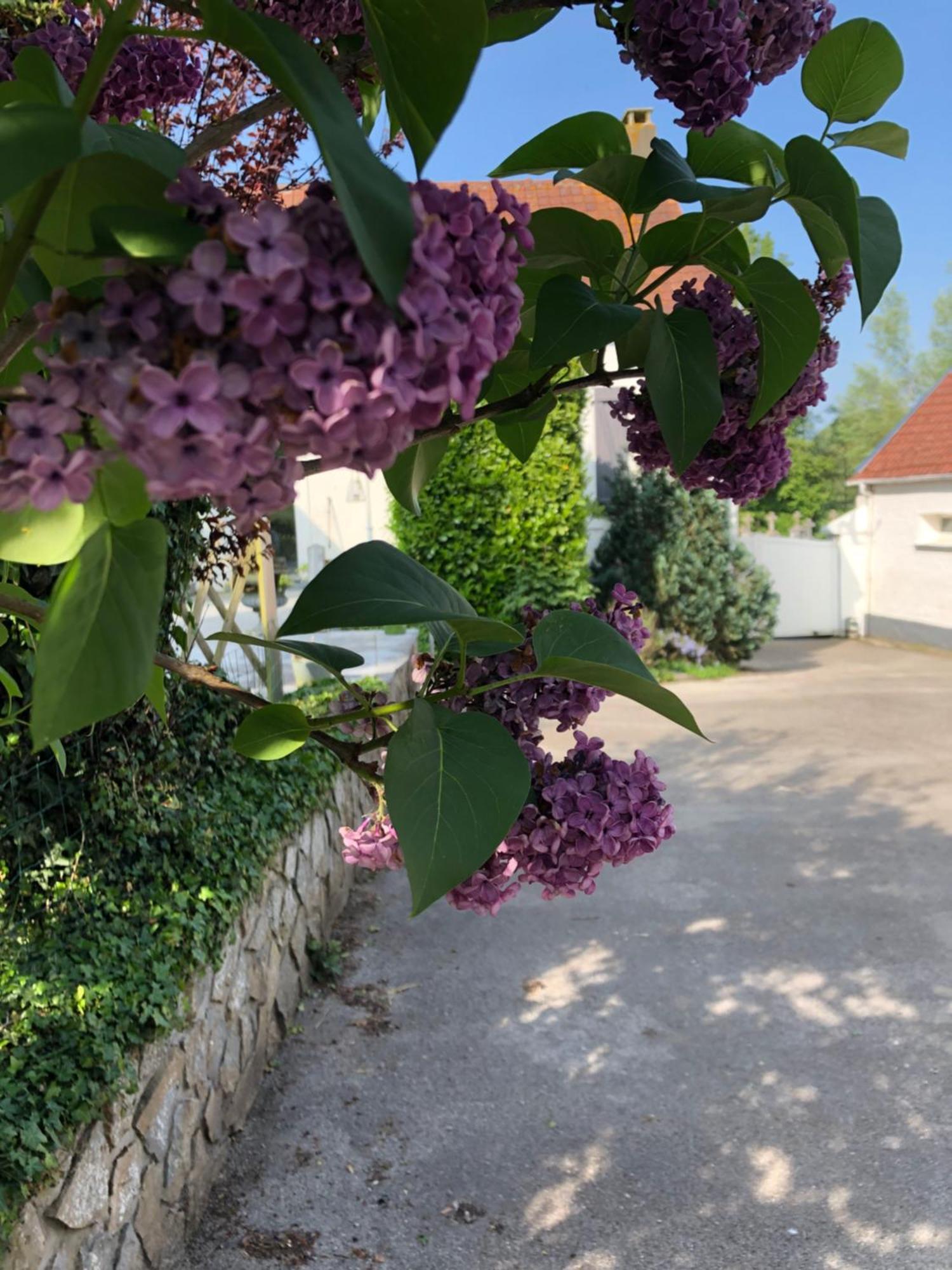 Le Clos De La Pommeraie Carly Экстерьер фото